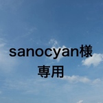 sanocyan様専用