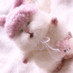 はむにぎりのふわふわうさぎ帽子とうさぎポシェット風