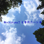 ＊mipokumaさま専用カート＊