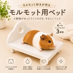 モルモット好きが作る、モルモット用ベッド【ヘッドレスト3種類】小動物用 ベッド｜モルモット・チンチラ・デグーにも