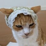 若草色バブーシュカ