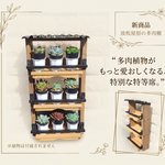 No.353 波板屋根の多肉棚　ブラック×ウォールナット 多肉棚 ～持ち運びに便利な転び止め付き～