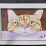 猫アート　原画一点物　フレーム付き