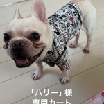 『リリー』様専用カート