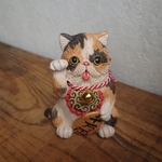 招き★エキゾチックショートヘア(金運アップ)①