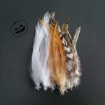 Halloween限定✳羽 フェザーMix(濃茶＆薄茶＆白)24枚