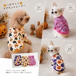 🎃ハロウィン🎃犬服　ラグラントレーナー　3柄　