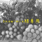 snow-mix様専用ページ