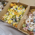 郵送代追加分