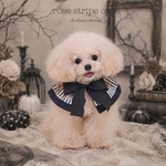 【NEW】ハロウィンケープ　犬　犬服　薔薇　スタイ　ビブ