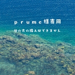 Plume様専用ページです！出店用3点セット♪