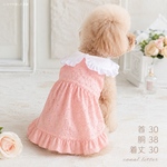 ハンドメイド犬服　白襟　フリル　ピンク　刺繍　ワンピース　小型犬