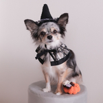 【ハロウィン被り物】　犬　猫　魔女ハット　カボチャ　