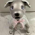 ごっこシリーズ　着せ替えごっこ大好きaiboちゃんのための重ねて使えるレースストール　aibo's lace scarf