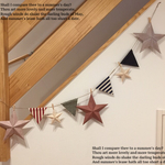 ★バーンスター&フラッグガーランド★