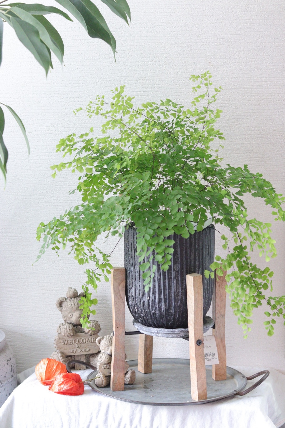 秋色♡ダークリーフのアシンメトリーな寄せ植え - T-egret | minne