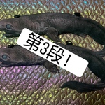 第3弾ラブカ
