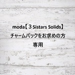 専用ページB