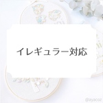 イレギュラー対応