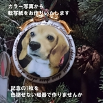専用窯がなくても自宅オーブンで出来るポーセリンアート、カラー写真から作るオリジナルの白磁＆ガラス用転写紙　記念の1枚　1点もの　プレゼントにも