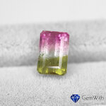 ウォーターメロントルマリン0.89CT 10000222