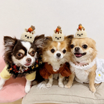 犬 リス 帽子  ♡ 秋 紅葉 どんぐり 猫 ペット かぶりもの 被り物   誕生日 うちの子記念日 冠 バースデー ニット ニット帽 カチューシャ アクセサリー どんぐり ドングリ