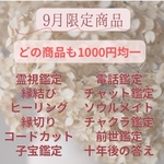 霊視鑑定、縁結び、縁切り、ヒーリング、チャクラ、守護霊、ブロック解除、コードカット、思念伝達、潜在意識書き換え、衛る、など