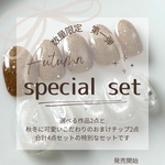 第3弾　夏準備　special set  ネイルチップ