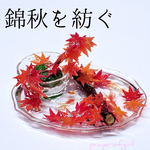 錦秋を紡ぐ