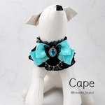 🦋ティファニーブルーのジュエルリボンケープ｜犬用・猫用｜誕生日・記念日フォトに