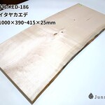 KED-186　イタヤカエデ　板谷楓　メープル　1000mm×390~415mm×25mm　一枚板 乾燥材 材木 DIY 木工 天然木 無垢材【新潟 Junshin -潤森-】