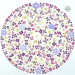 小花MIX 211 押し花 素材