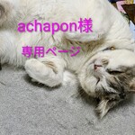 青い金魚のイヤリング　レジンアクセサリー