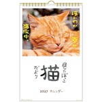 壁掛カレンダー2027年 日なたぼっこ猫だより  27ACL-04