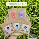 ＊11月のお茶＊5種類飲み比べセット(計40個入り)
