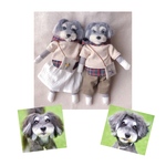 robinn… 様専用♡おめかしわんこドール『うちの子オーダー』(MII WOOL)