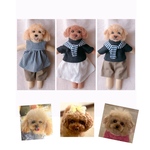 cookie-mona 様専用♡おめかしわんこドール『うちの子オーダー』(MII WOOL)