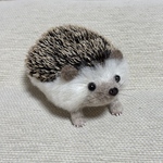 羊毛フェルト　ハリネズミ大　顔薄茶　ハンドメイド