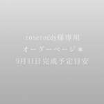 rose teddy様専用オーダーページ＊9月11日完成予定目安