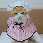 ケーキショップ店員