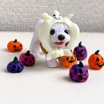 マルチーズちゃんとハロウィン