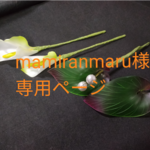 mamiranmaru様専用ページカラー（白）簪