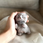  [体長約10cm]ブリティッシュショートヘアの赤ちゃん