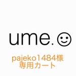 pajeko1484様　専用カート