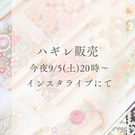 ⚠️備考欄に番号記入　ハギレ　インド刺繍リボン