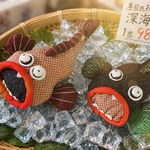 【キット】おこぜ　二匹セット
