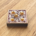 ミニチュアフード　栗赤飯