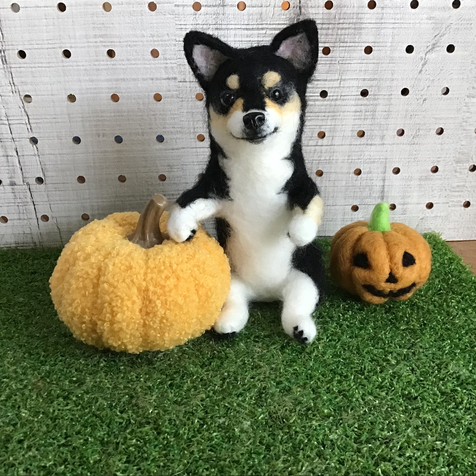 ロングコートチワワ（クリーム） - CORGI1123'S GALLERY | minne byGMO