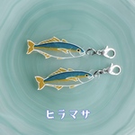 ヒラマサのチャーム