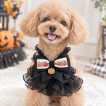 再販✨✨　ハロウィンチョーカー🎃　黒×オレンジリボン｜誕生日・記念日・トリミング・撮影会｜犬猫用